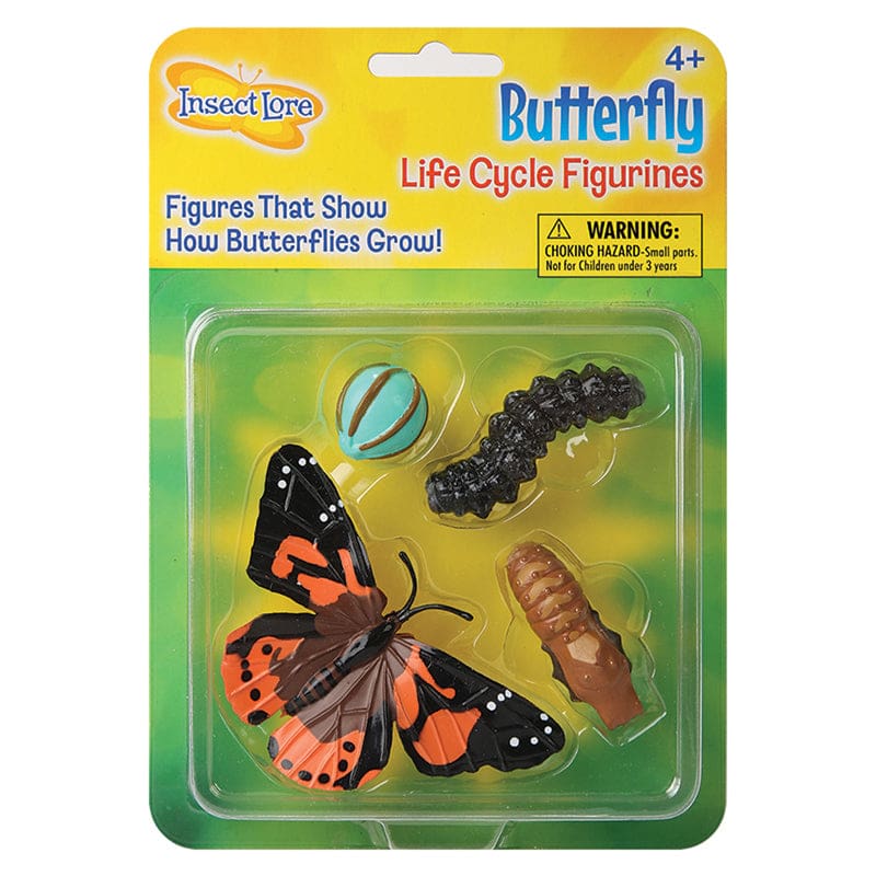 Butterfly Life Cycle Stages (Pack of 6) - Animal Studies - Insect Lore