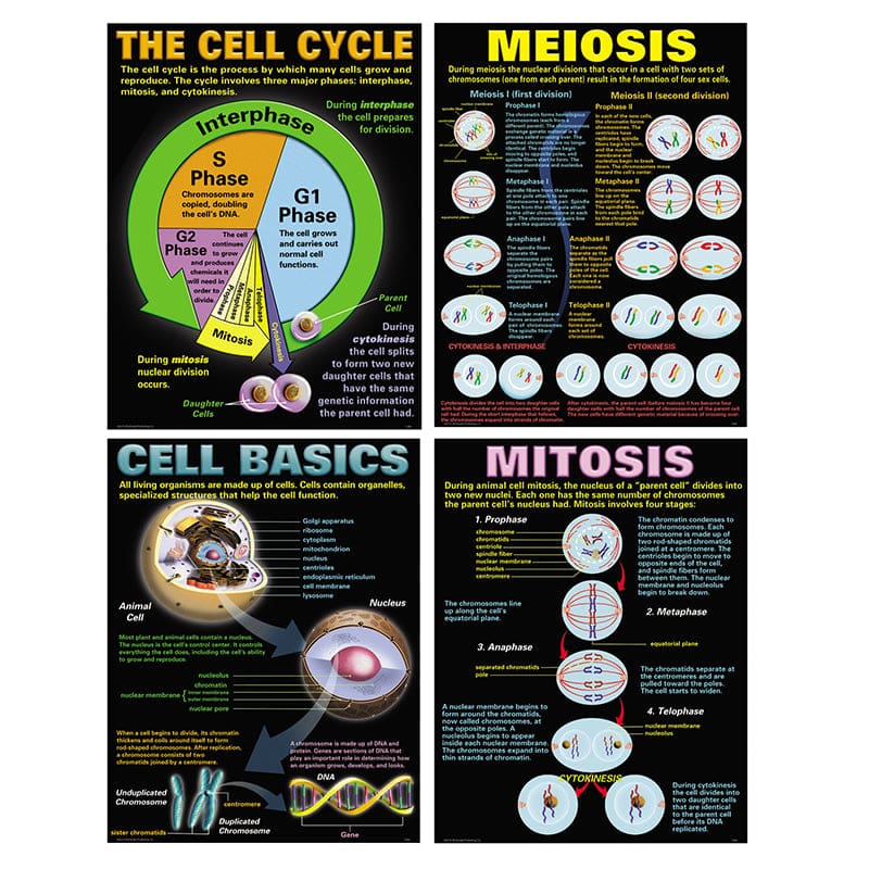 Cells Teaching Poster Set (Pack of 6) - Science - Teacher Created Resources
