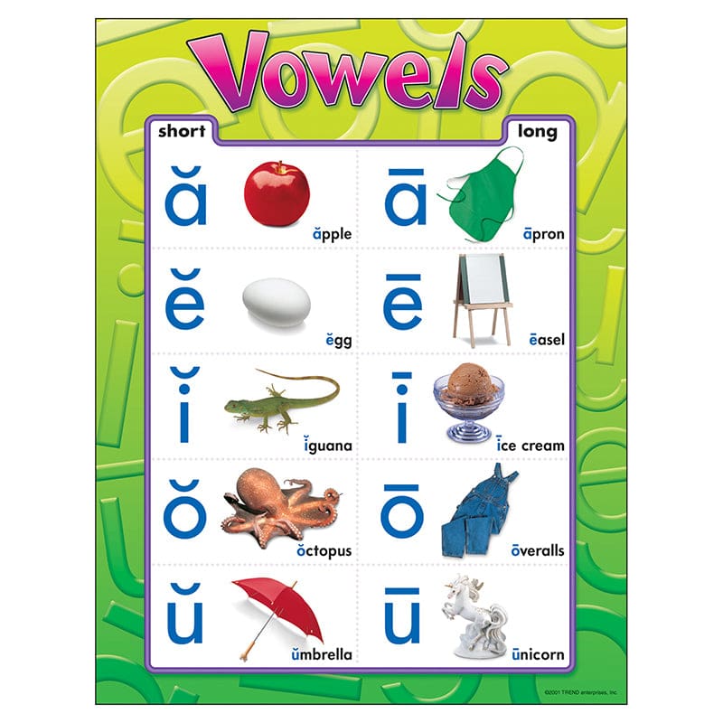 Chart Vowels (Pack of 12) - Language Arts - Trend Enterprises Inc.