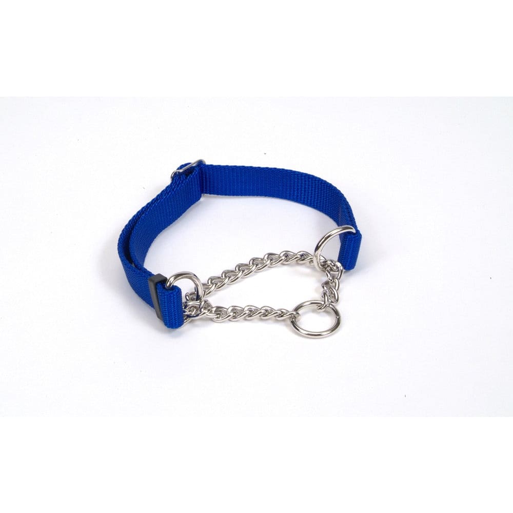 Check-Choke Adjustable Check Training Dog Collar Blue 5/8 in x 10-14 in - Pet Supplies - Check-Choke