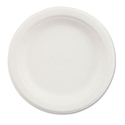 Chinet Paper Dinnerware Plate 6 Dia White 1,000/carton - Food Service - Chinet®
