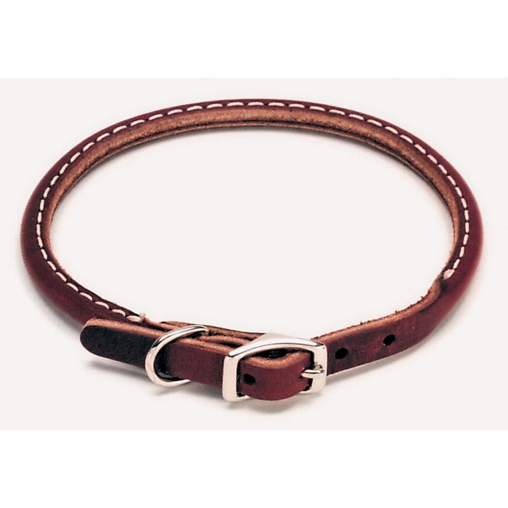 Circle T Latigo Leather Round Dog Collar Brown 3-8 in x 10 in - Pet Supplies - Circle T