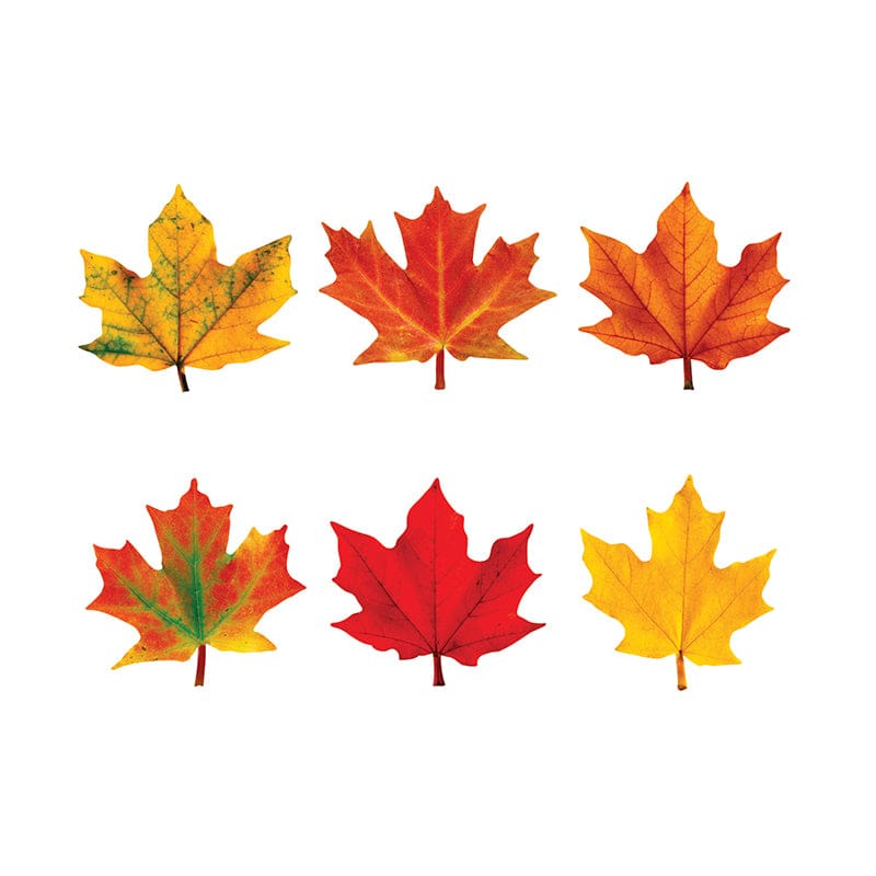 Classic Accents Maple Leaves Mini Variety Pk-Discovery (Pack of 10) - Holiday/Seasonal - Trend Enterprises Inc.