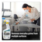 CLR PRO Multi-purpose Cleaner Lemon Scent 32 Oz Bottle 6/carton - Janitorial & Sanitation - CLR PRO®