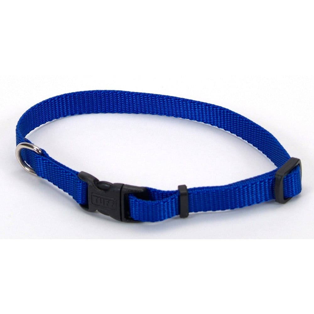 Coastal Adjustable Nylon Dog Collar with Plastic Buckle Blue 3/8 in x 8-12 in - Pet Supplies - Coastal