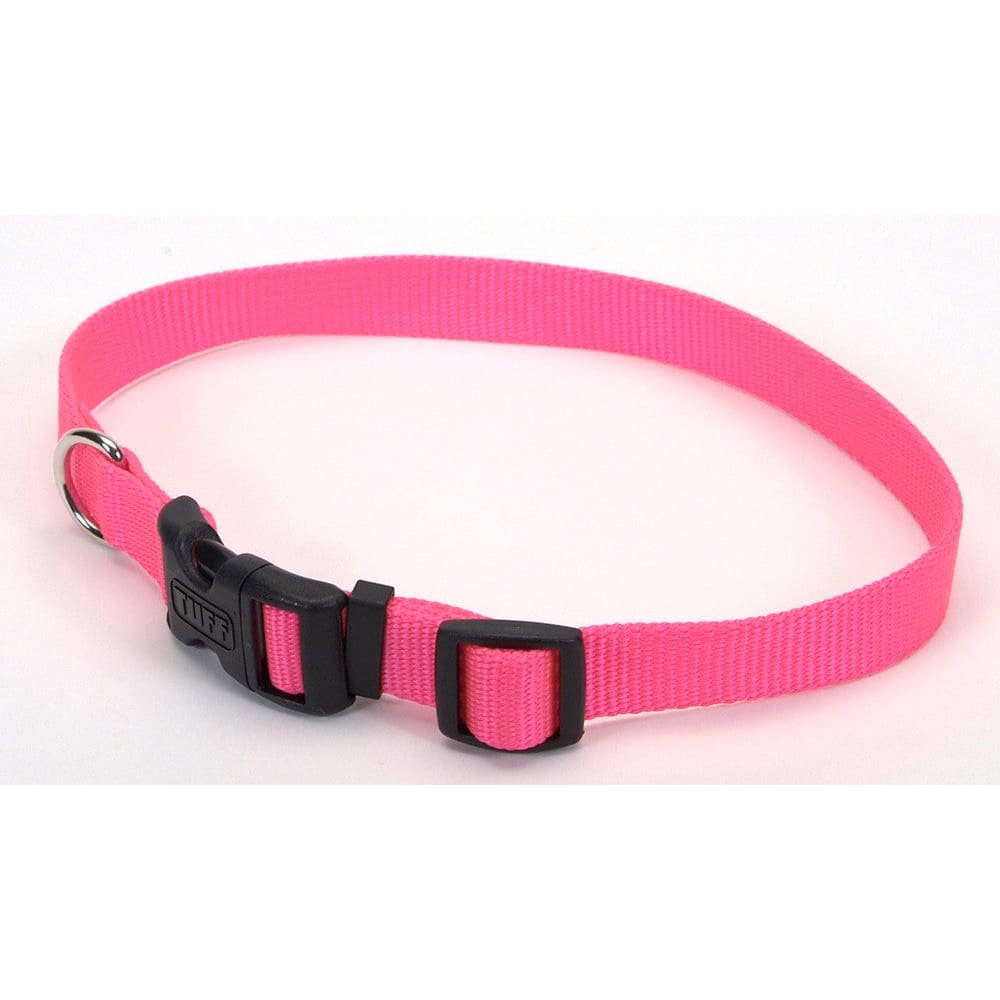 Coastal Adjustable Nylon Dog Collar with Plastic Buckle Neon Pink 3/4 in x 14-20 in - Pet Supplies - Coastal