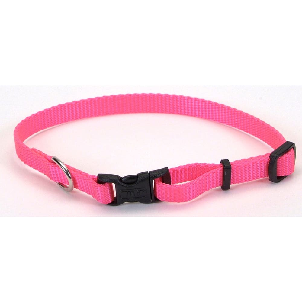 Coastal Adjustable Nylon Dog Collar with Plastic Buckle Neon Pink 3/8 in x 8-12 in - Pet Supplies - Coastal