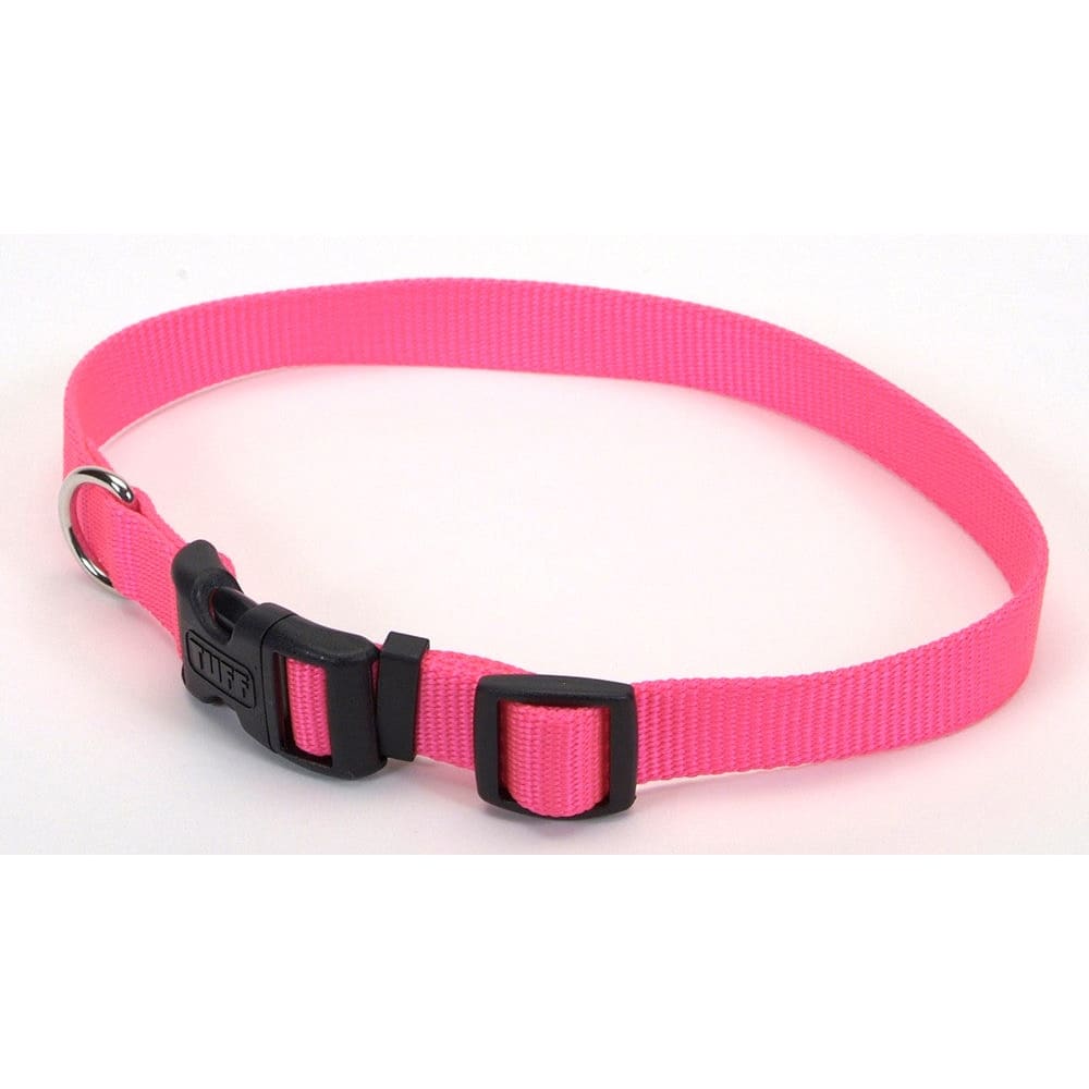 Coastal Adjustable Nylon Dog Collar with Plastic Buckle Neon Pink 5/8 in x 10-14 in - Pet Supplies - Coastal