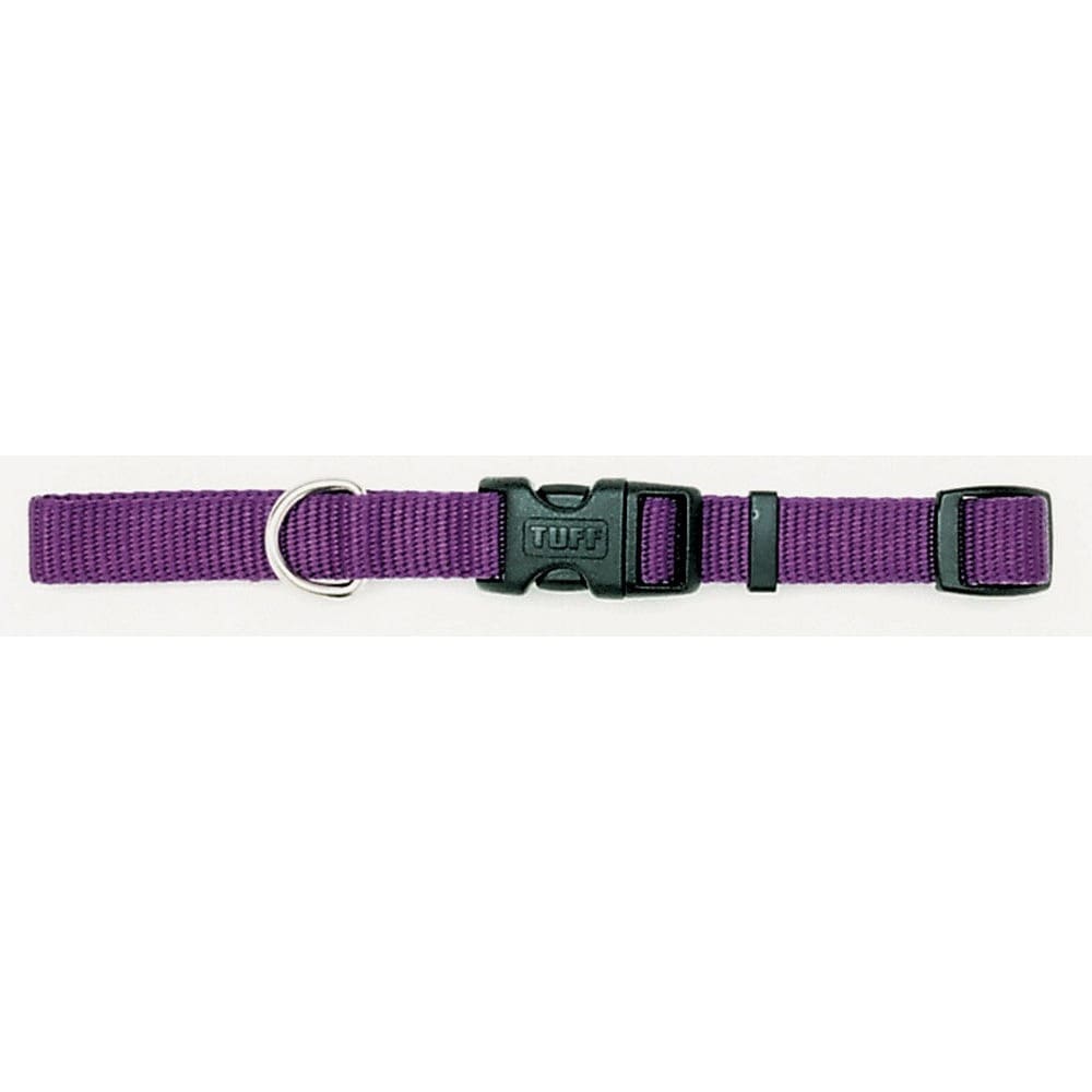 Coastal Adjustable Nylon Dog Collar with Plastic Buckle Purple 3/8 in x 8-12 in - Pet Supplies - Coastal
