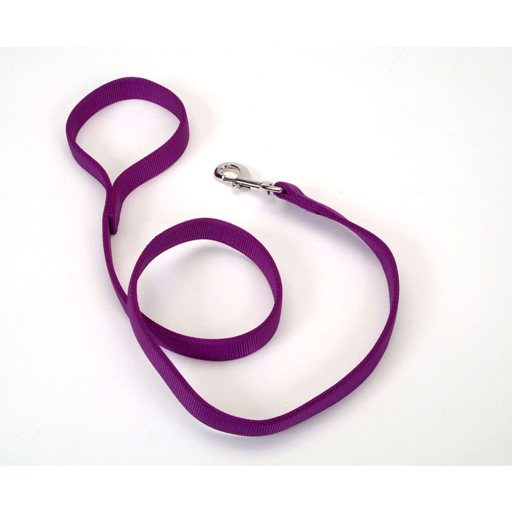 Coastal Double-Ply Nylon Dog Leash Purple 1 in x 4 ft - Pet Supplies - Coastal