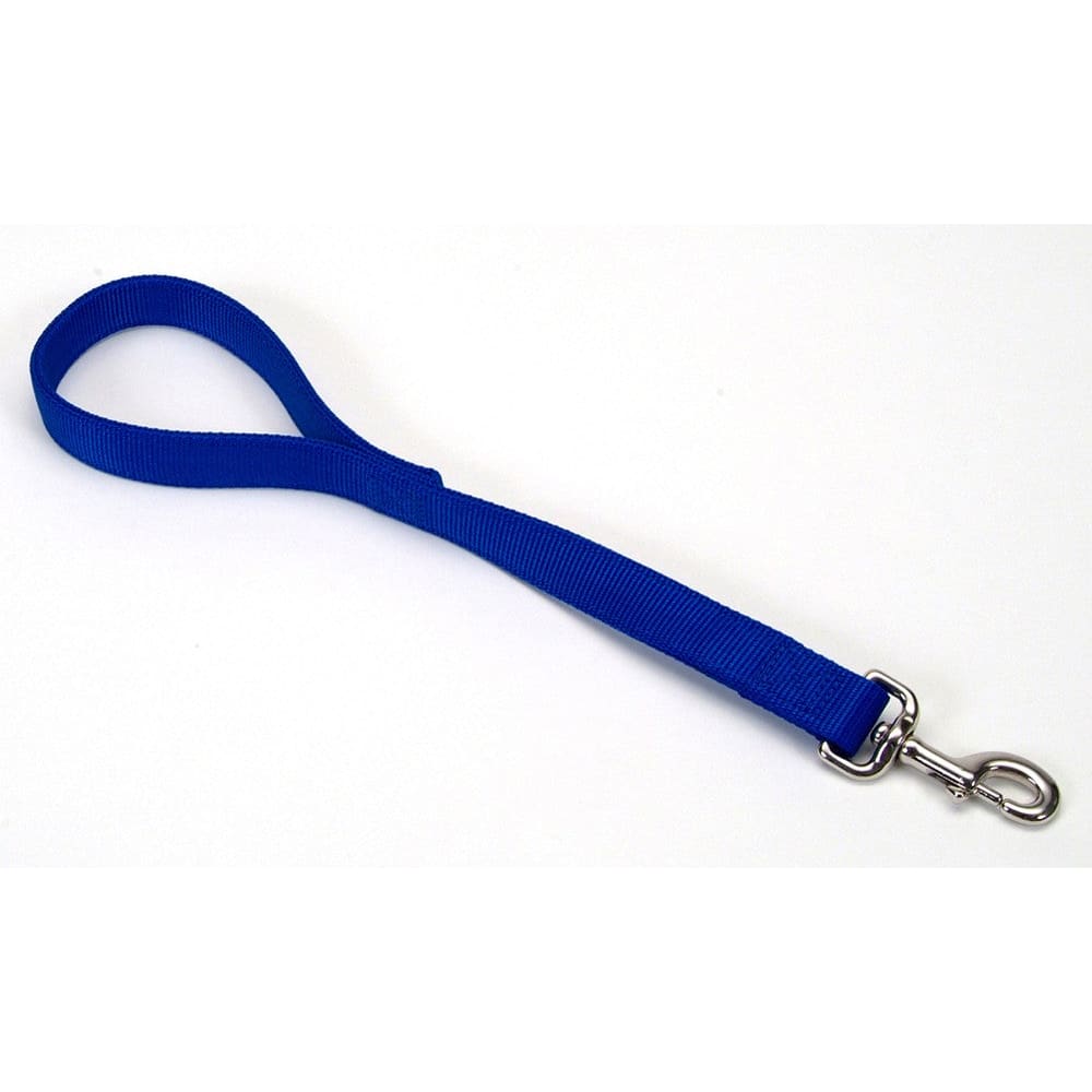 Coastal Double-Ply Nylon Traffic Dog Leash Blue 1 in x 24 in - Pet Supplies - Coastal