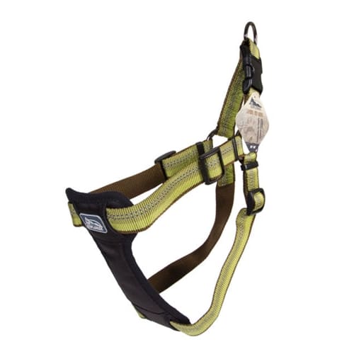 Coastal K9 Explorer 1 Inch Padded Harness Fern Green (20-30 Inch) - Pet Supplies - Coastal