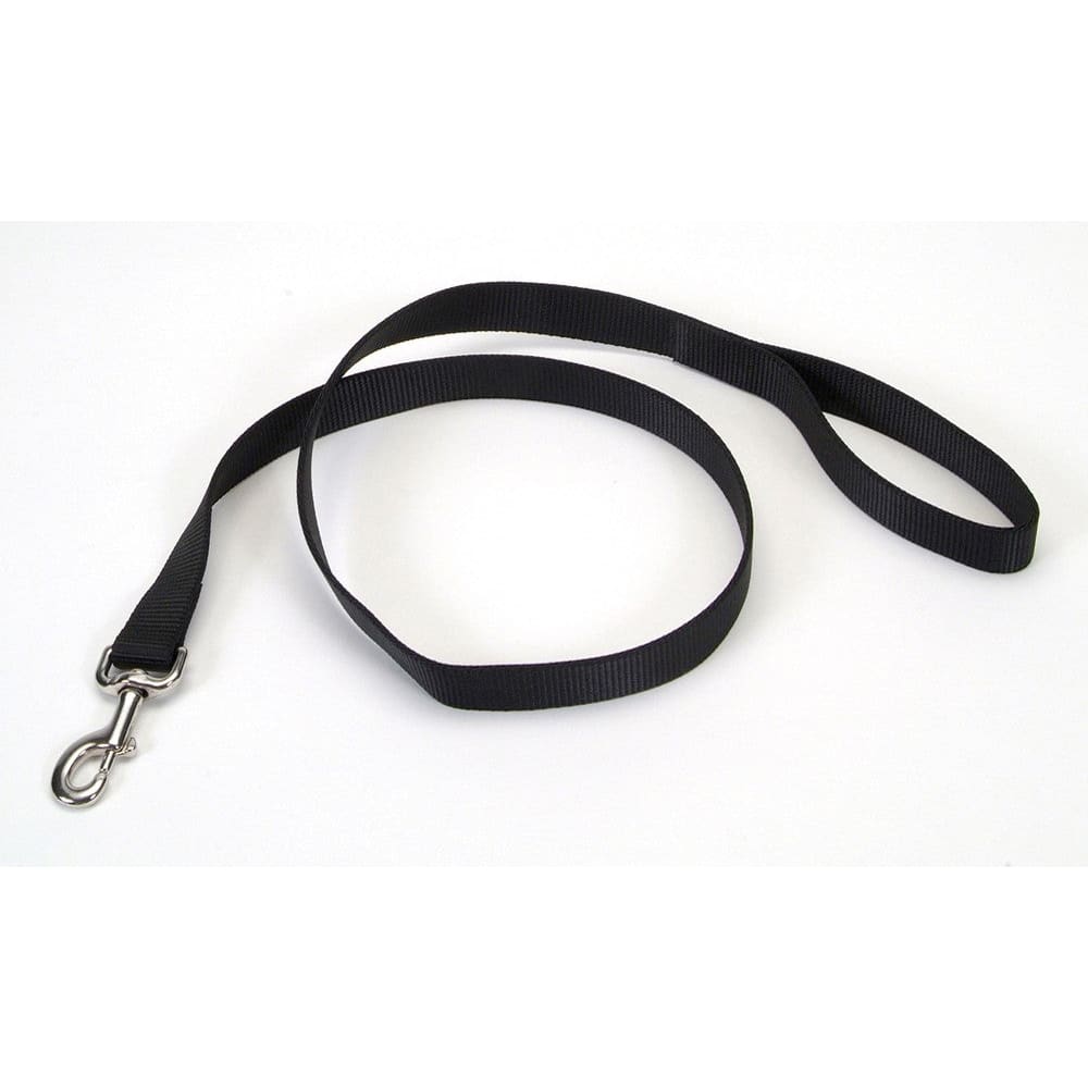 Coastal Single-Ply Nylon Dog Leash Black 1 in x 4 ft - Pet Supplies - Coastal