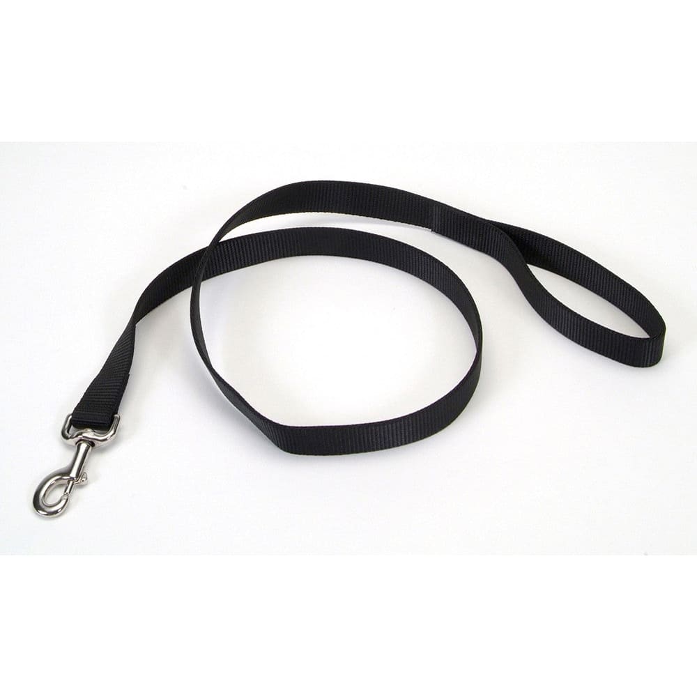Coastal Single-Ply Nylon Dog Leash Black 1 in x 6 ft - Pet Supplies - Coastal