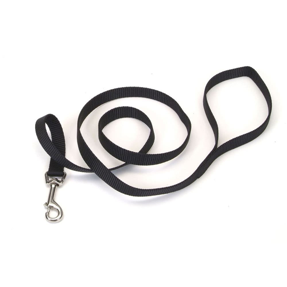 Coastal Single-Ply Nylon Dog Leash Black 3/4 in x 4 ft - Pet Supplies - Coastal