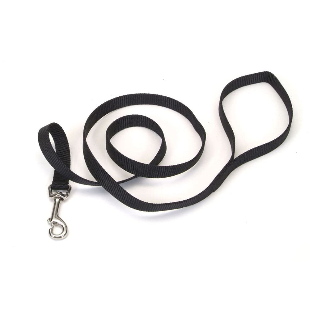 Coastal Single-Ply Nylon Dog Leash Black 5/8 in x 4 ft - Pet Supplies - Coastal