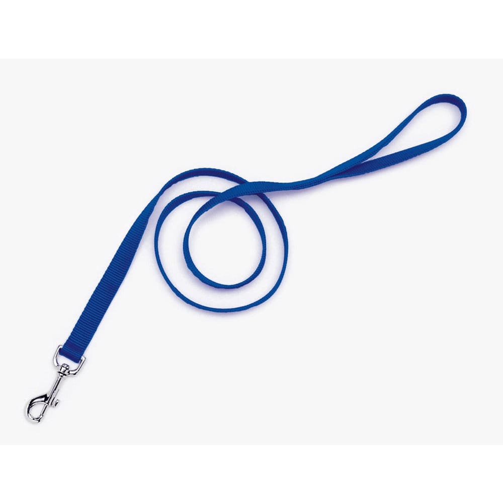 Coastal Single-Ply Nylon Dog Leash Blue 1 in x 4 ft - Pet Supplies - Coastal
