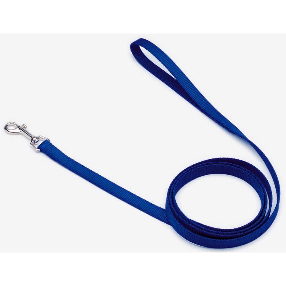 Coastal Single-Ply Nylon Dog Leash Blue 3/4 in x 6 ft - Pet Supplies - Coastal
