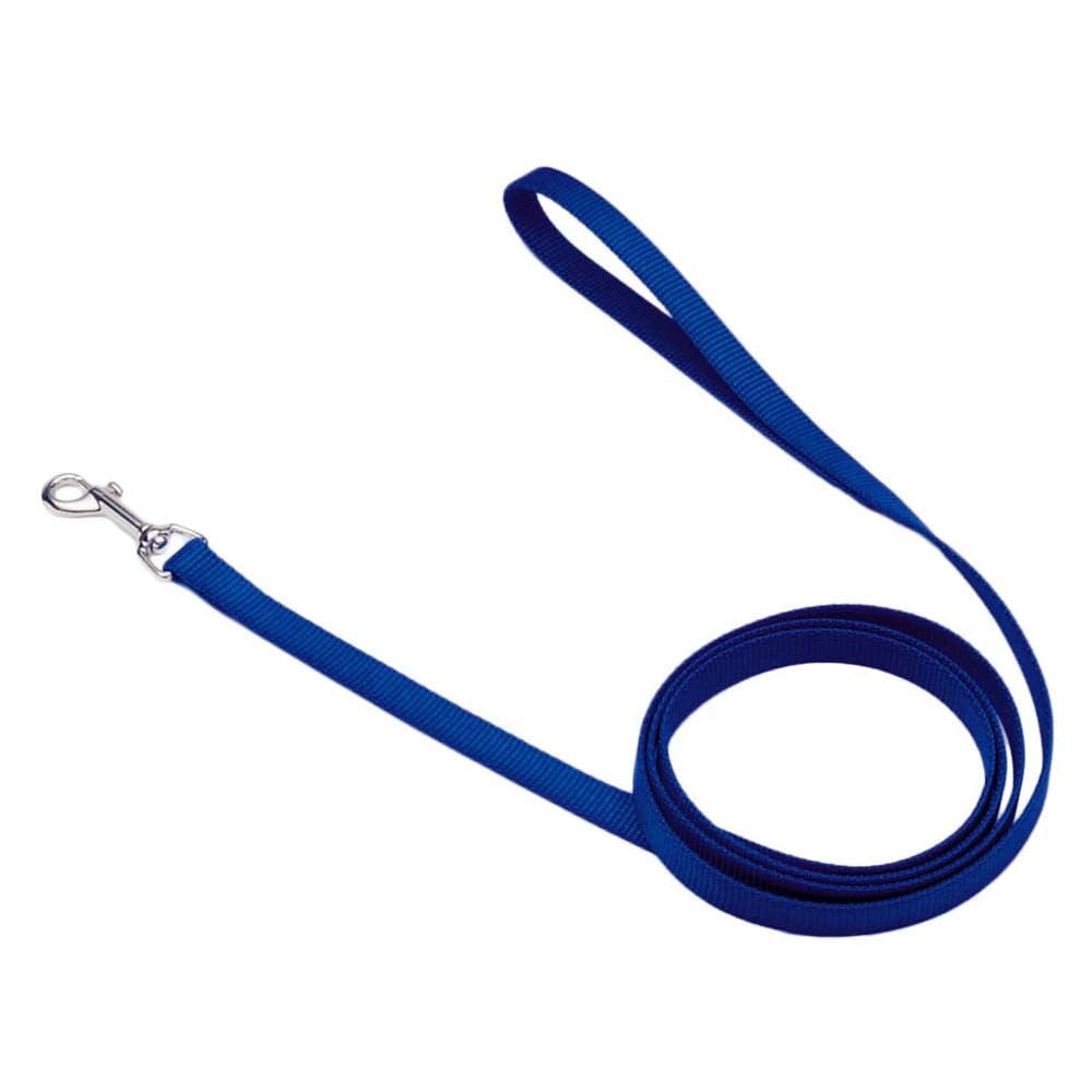 Coastal Single-Ply Nylon Dog Leash Blue 5/8 in x 6 ft - Pet Supplies - Coastal