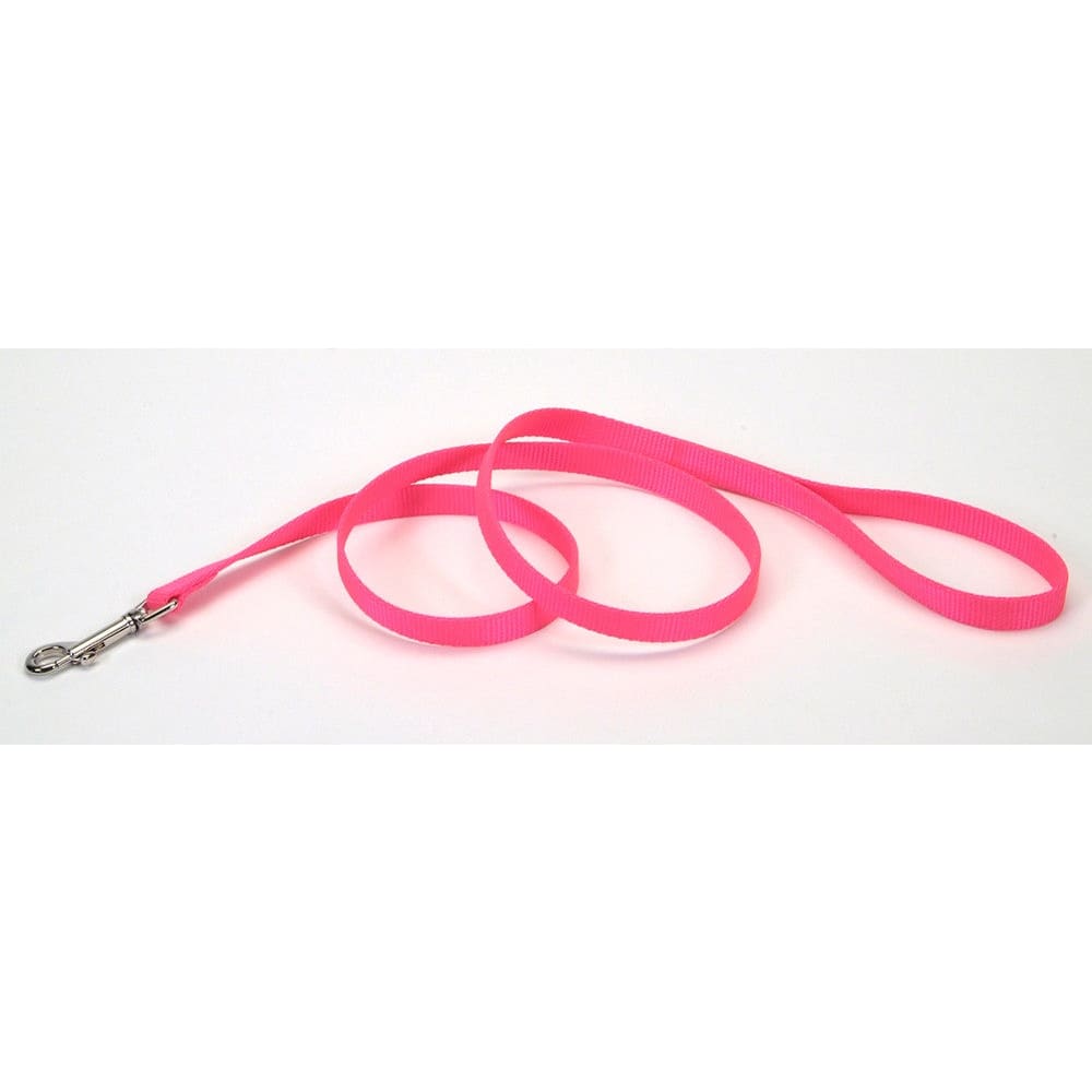 Coastal Single-Ply Nylon Dog Leash Neon Pink 3/4 in x 4 ft - Pet Supplies - Coastal