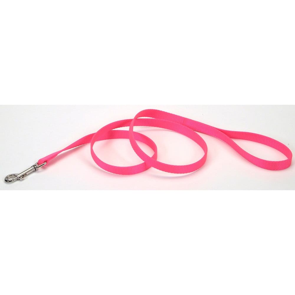 Coastal Single-Ply Nylon Dog Leash Neon Pink 3/4 in x 6 ft - Pet Supplies - Coastal