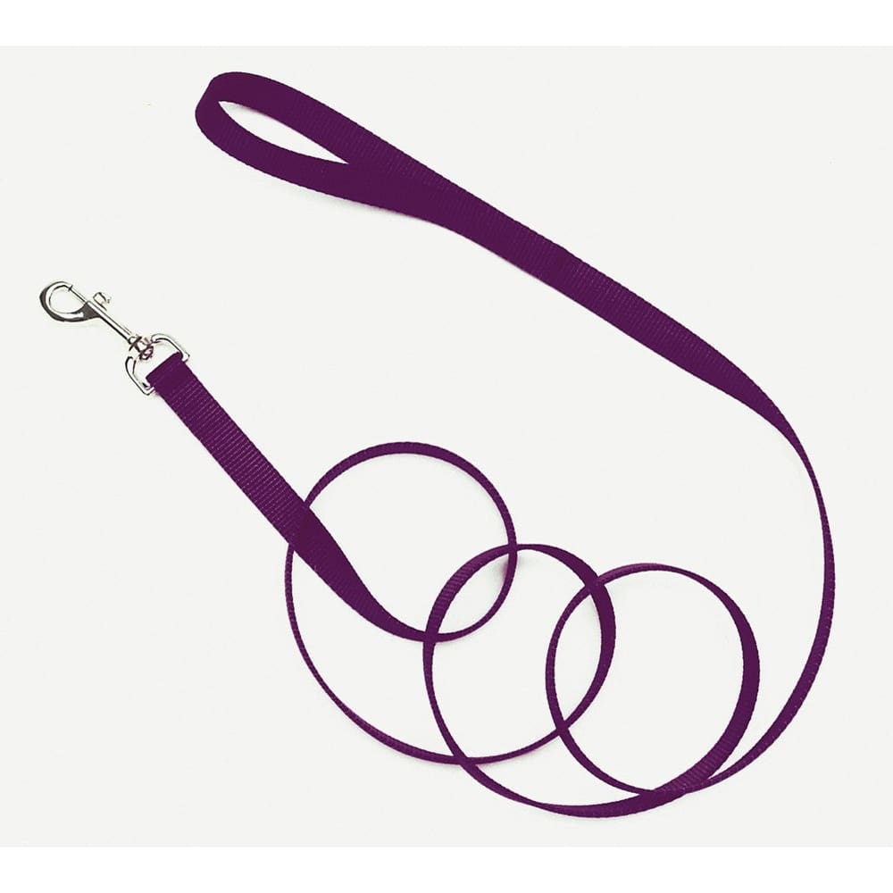Coastal Single-Ply Nylon Dog Leash Purple 3/4 in x 4 ft - Pet Supplies - Coastal