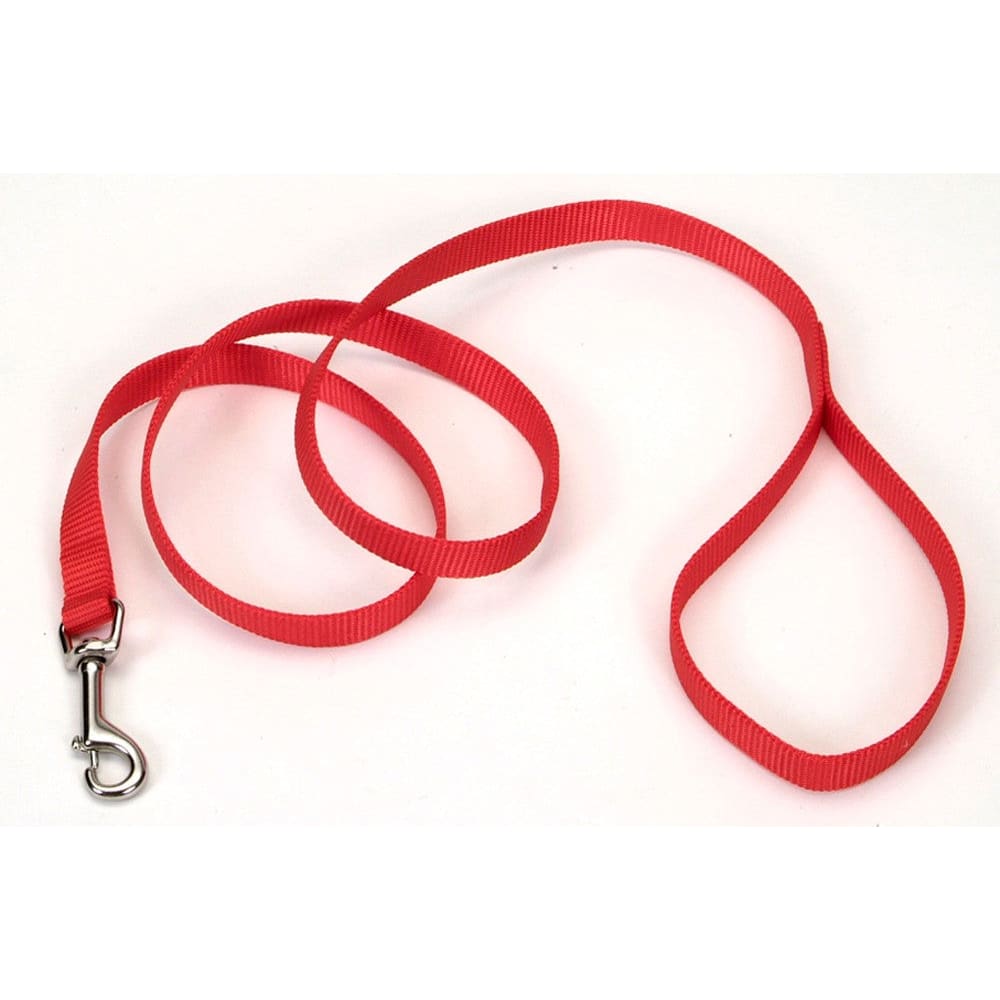 Coastal Single-Ply Nylon Dog Leash Red 3/4 in x 4 ft - Pet Supplies - Coastal