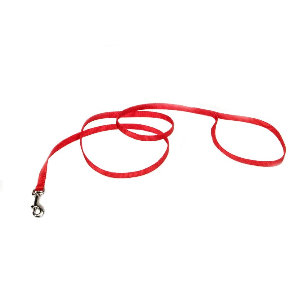 Coastal Single-Ply Nylon Dog Leash Red 3/8 in x 4 ft - Pet Supplies - Coastal