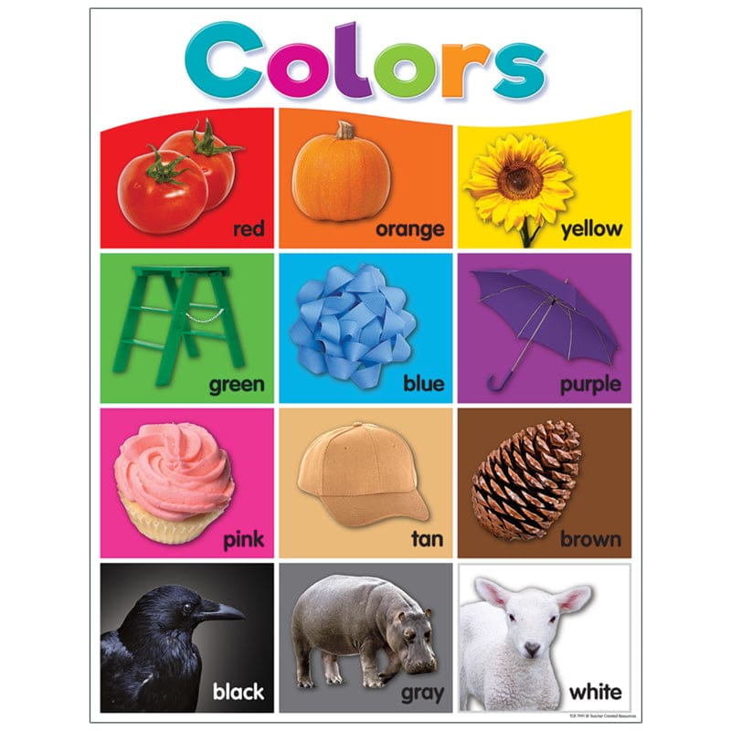Colorful Colors Chart (Pack of 12) - Classroom Theme - Teacher Created Resources