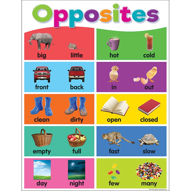 Colorful Opposites Chart (Pack of 12) - Classroom Theme - Teacher Created Resources