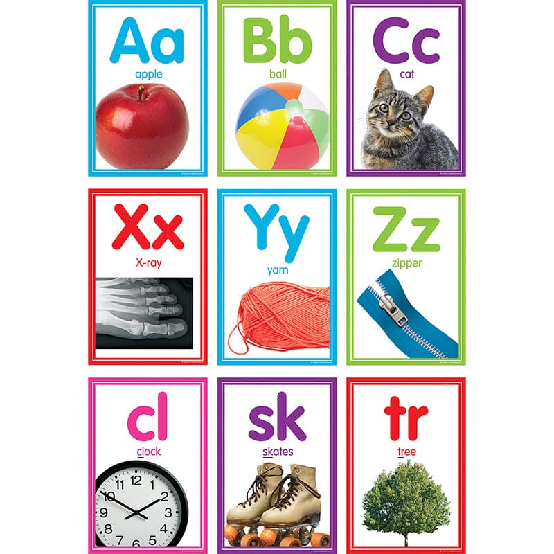 Colorful Photo Alphabet Cards Bb St (Pack of 3) - Language Arts - Teacher Created Resources
