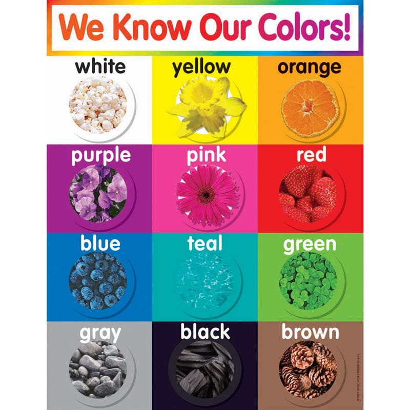 Colors Chart Gr Pk-5 (Pack of 12) - Miscellaneous - Scholastic Teaching Resources