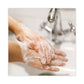 Dial Professional Basics Mp Free Liquid Hand Soap Honeysuckle 3.78 L Refill Bottle - Janitorial & Sanitation - Dial® Professional