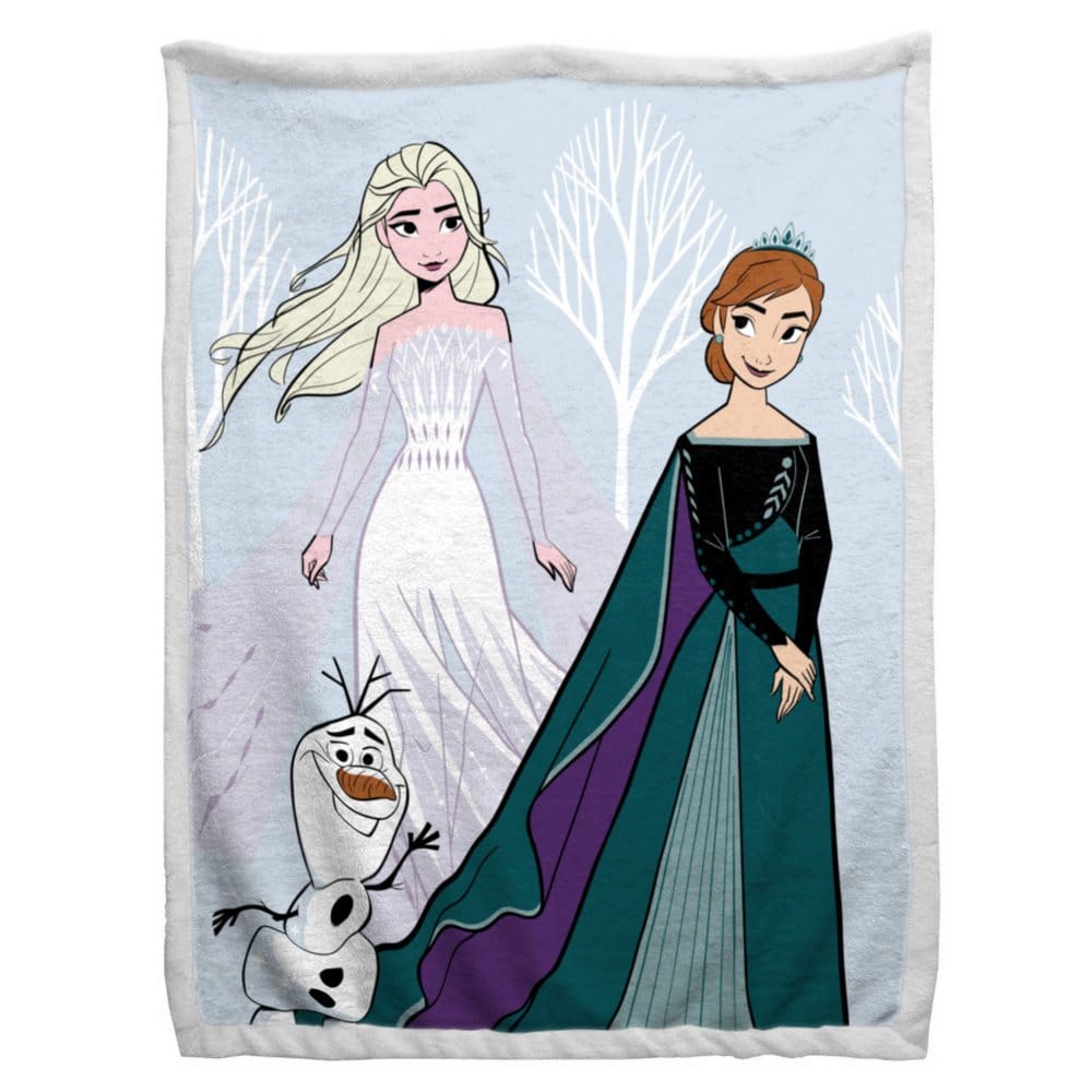 Disney’s Frozen 2 Magical Friends 70 x 90 Sherpa Back Blanket - Kids Bedding - Disney’s