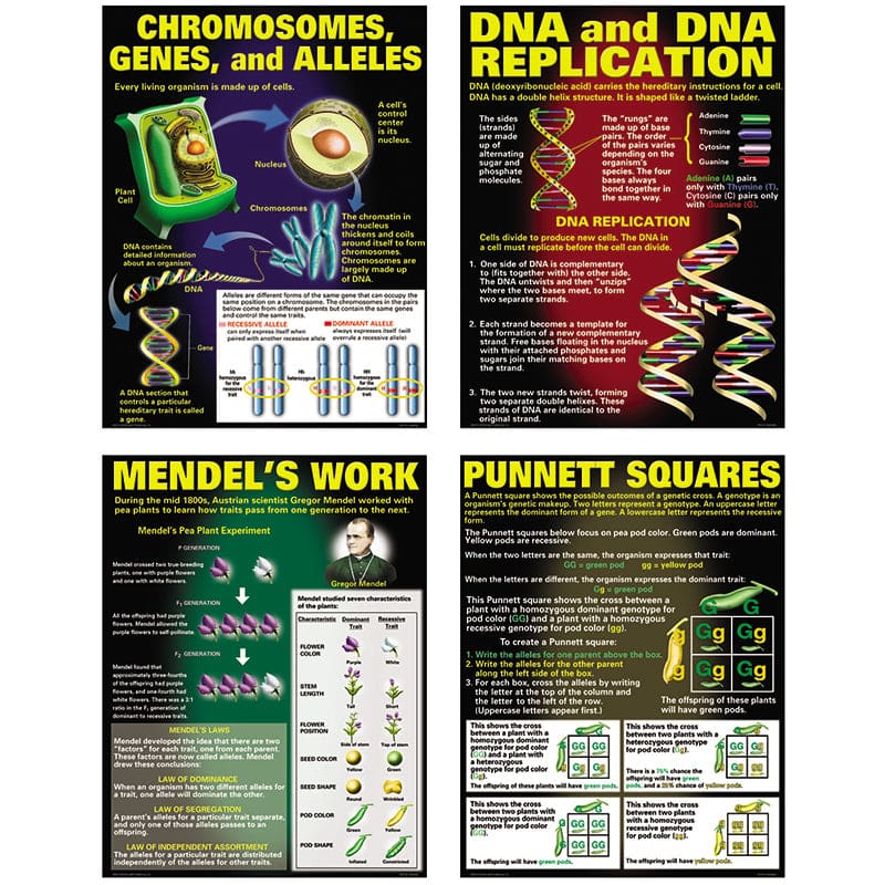 Dna & Heredity Poster Set (Pack of 6) - Science - Teacher Created Resources