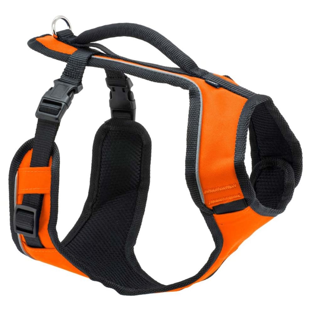 EasySport Comfortable Dog Harness Orange Large - Pet Supplies - EasySport