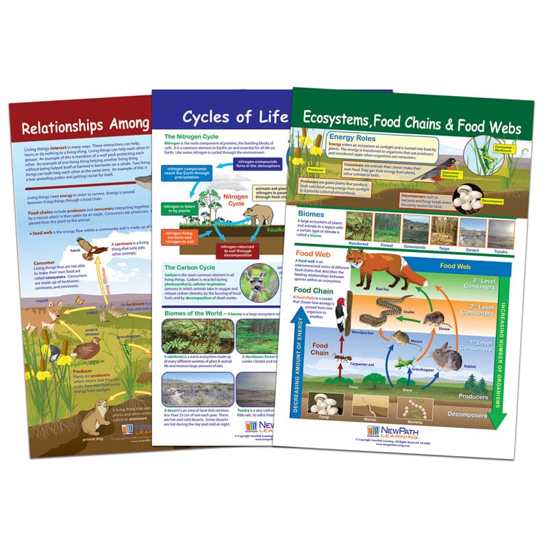 Ecology Bulletin Board Chart Set Grades 3-5 (Pack of 3) - Science - Newpath Learning