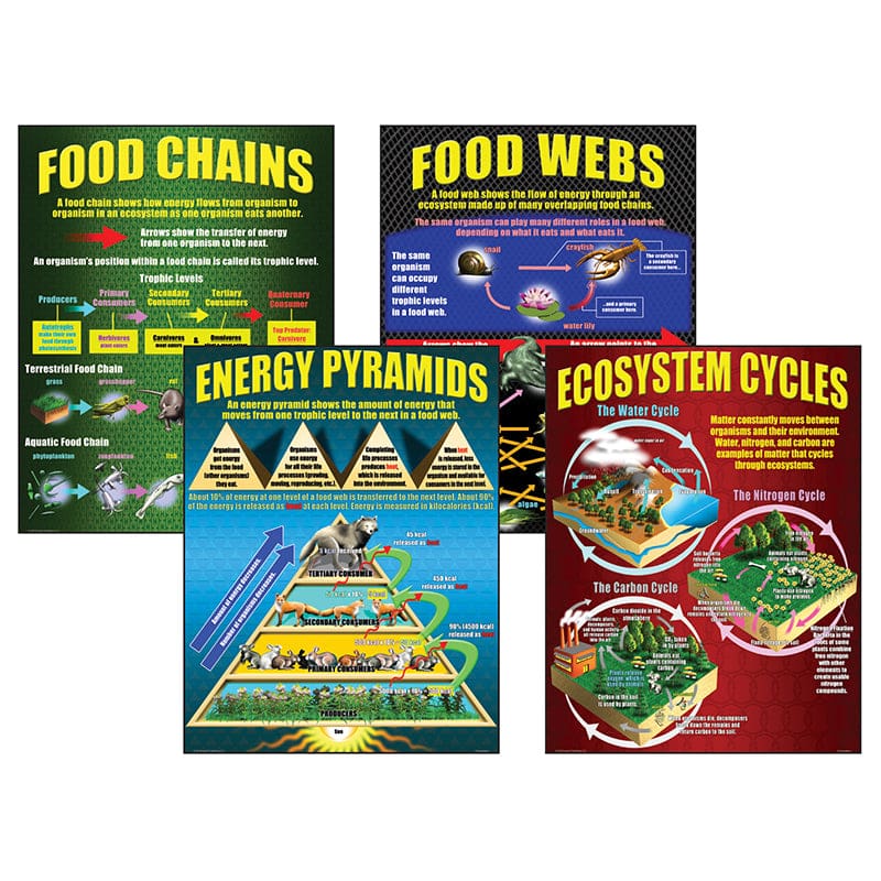 Ecosystems Teaching Poster Set (Pack of 6) - Science - Teacher Created Resources