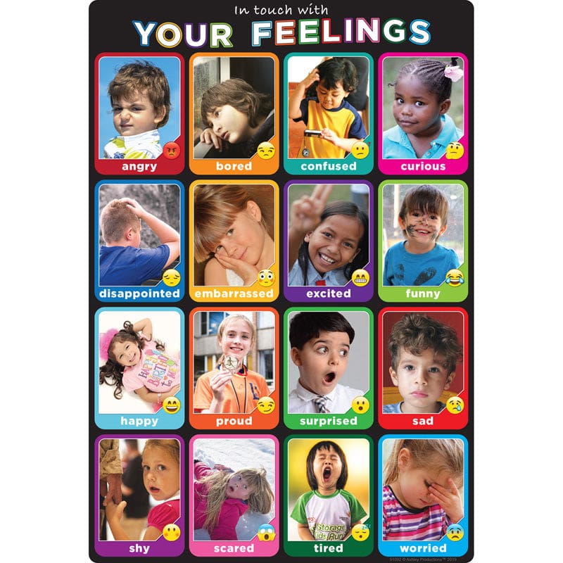 Emotions 13 X 19 Chart Smart Poly (Pack of 12) - Social Studies - Ashley Productions