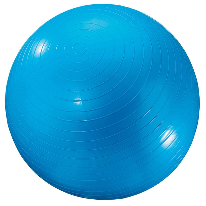 Exercise Ball 24In Blue (Pack of 2) - Balls - Dick Martin Sports