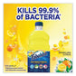 Fabuloso Antibacterial Multi-purpose Cleaner Sparkling Citrus Scent 48 Oz Bottle - Janitorial & Sanitation - Fabuloso®