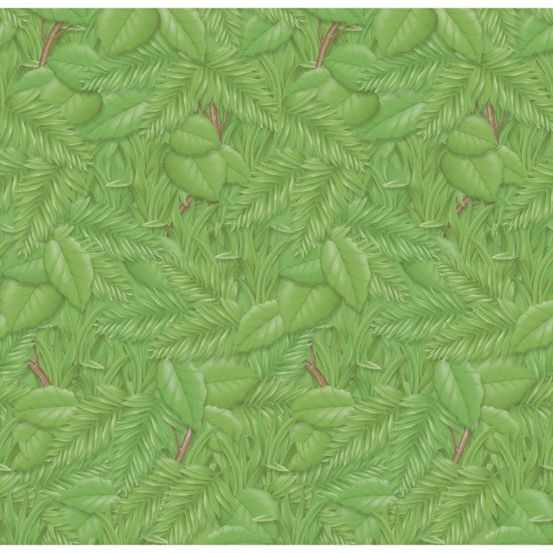 Fadeless 48X50 Rl Tropical Foliage - Bulletin Board & Kraft Rolls - Dixon Ticonderoga Co - Pacon