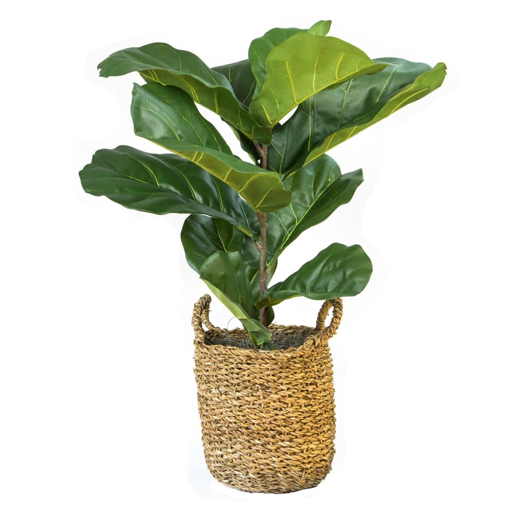 Faux 36 Fig in Handwoven Boho Basket - Faux Plants - Faux