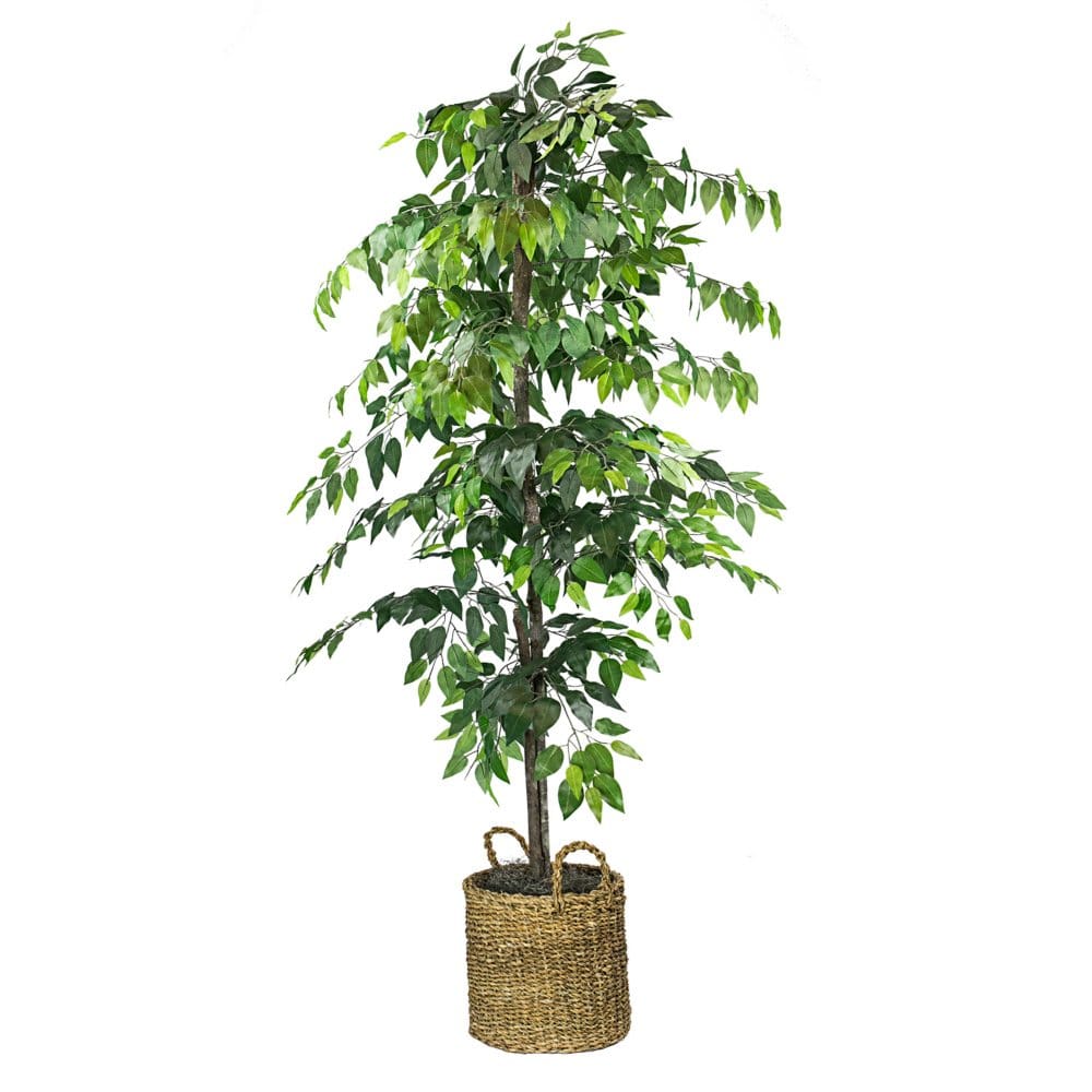 Faux 6’ Ficus Tree in Roped-Style Handwoven Basket - Plants - Faux