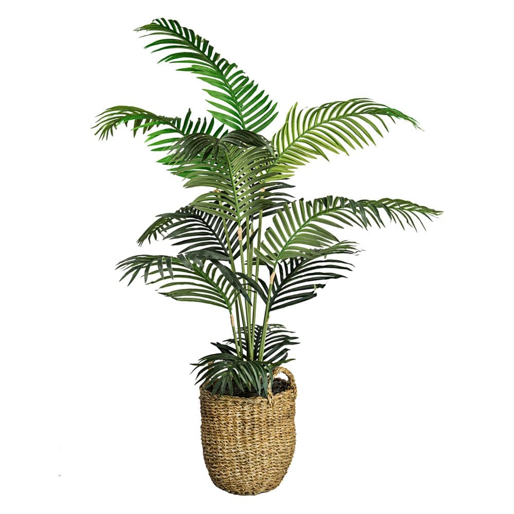 Faux 60 Areca Palm in Boho-Style Handled Basket - Plants - Faux