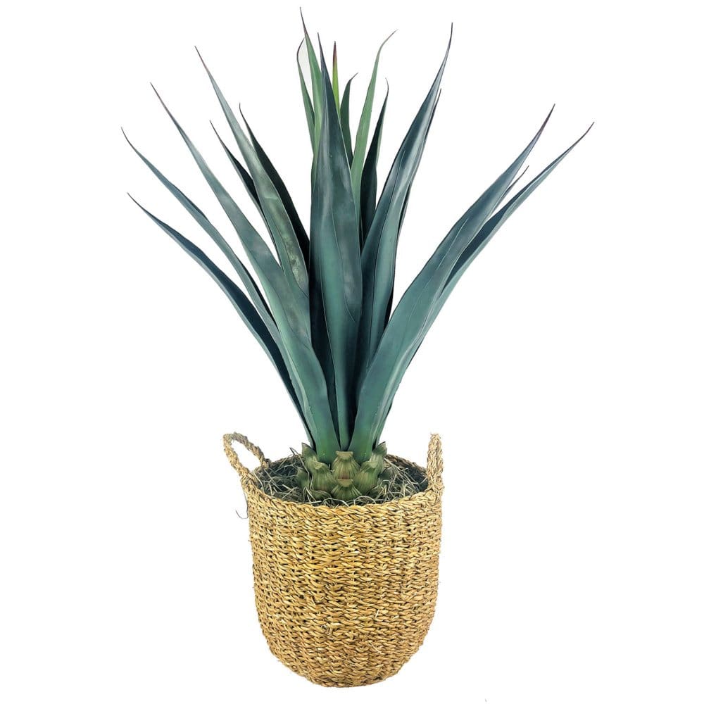 Faux Agave 42 (Assorted Colors) - Faux Plants - Faux