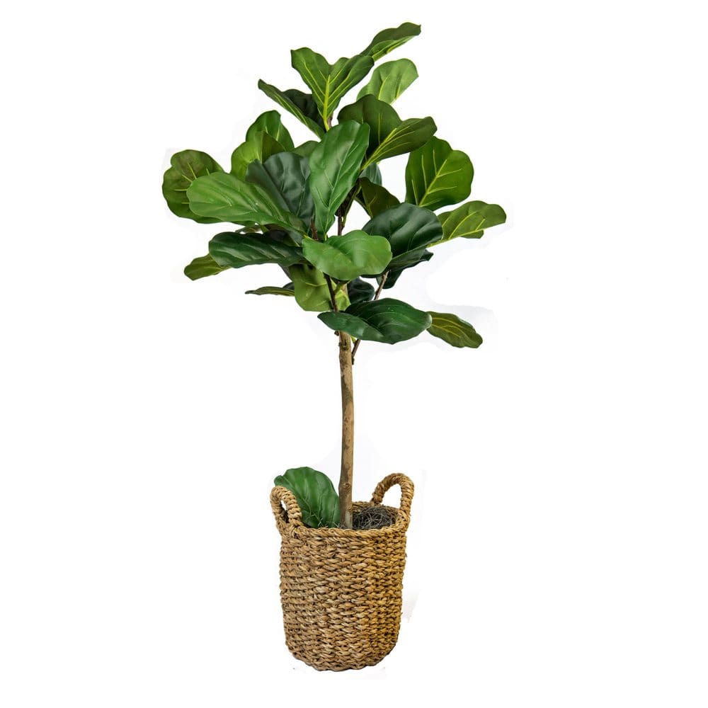 Faux Fig Tree in Basket - Faux Plants - Faux