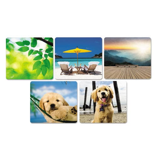 Fellowes Recycled Mouse Pad 9 X 8 Puppy In Hammock Design - Technology - Fellowes®