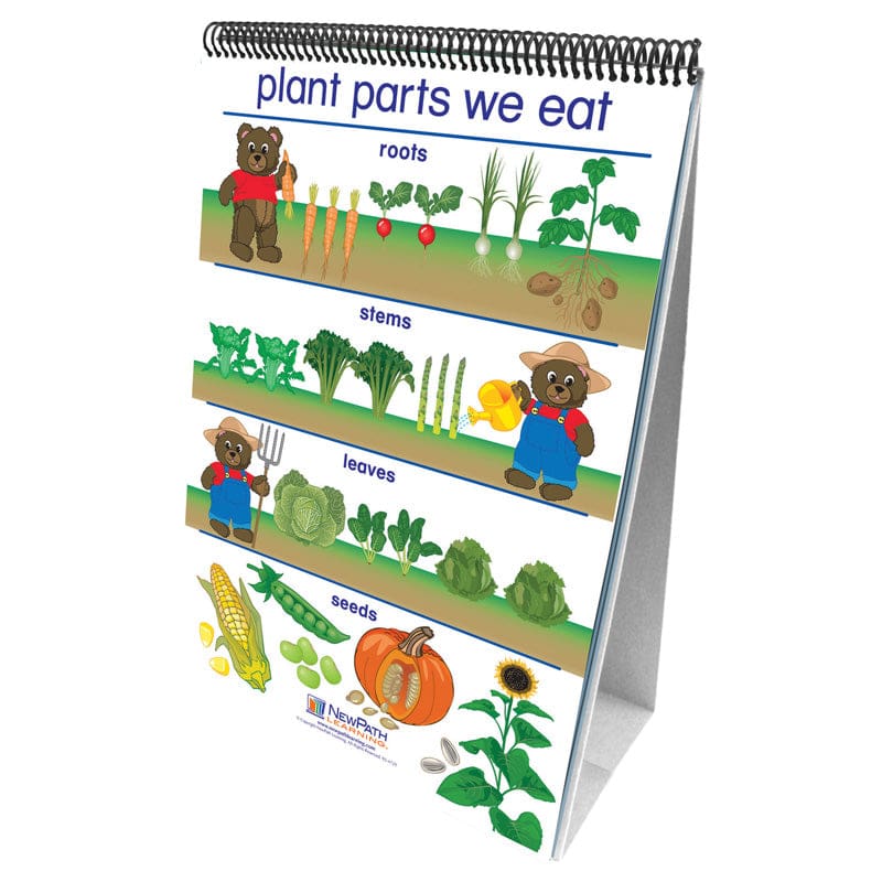 Flip Charts All About Plants Early Childhood Science Readiness - Plant Studies - Newpath Learning