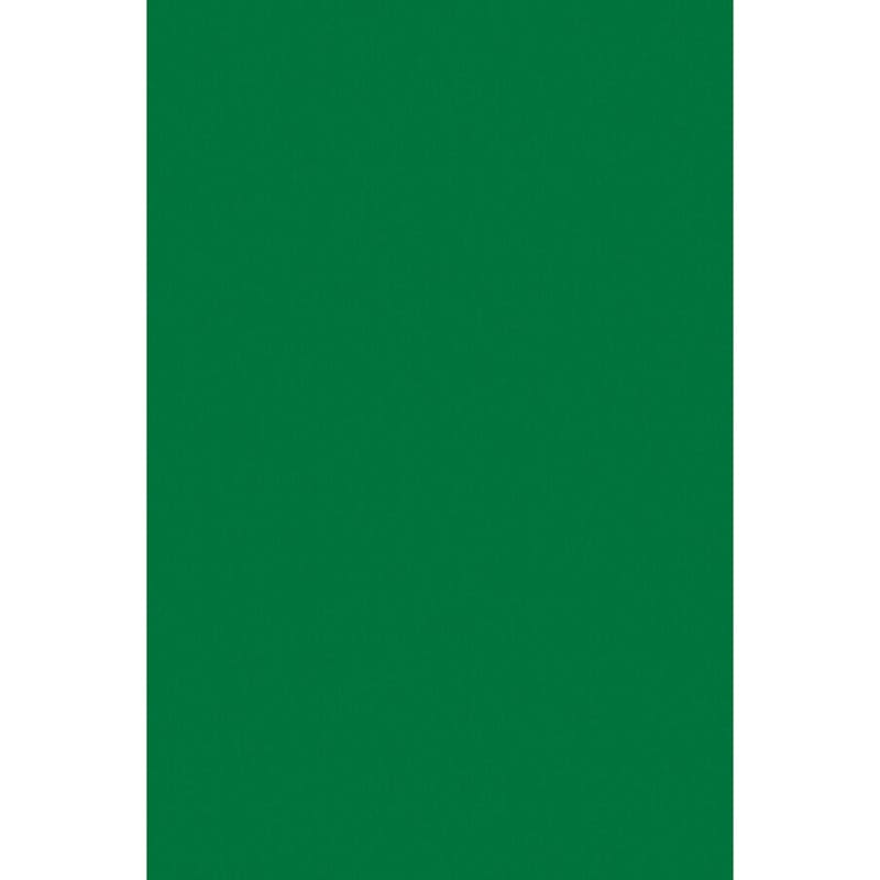 Foam Board Grn 20Inx30In 10 Sheets - Tag Board - Dixon Ticonderoga Co - Pacon